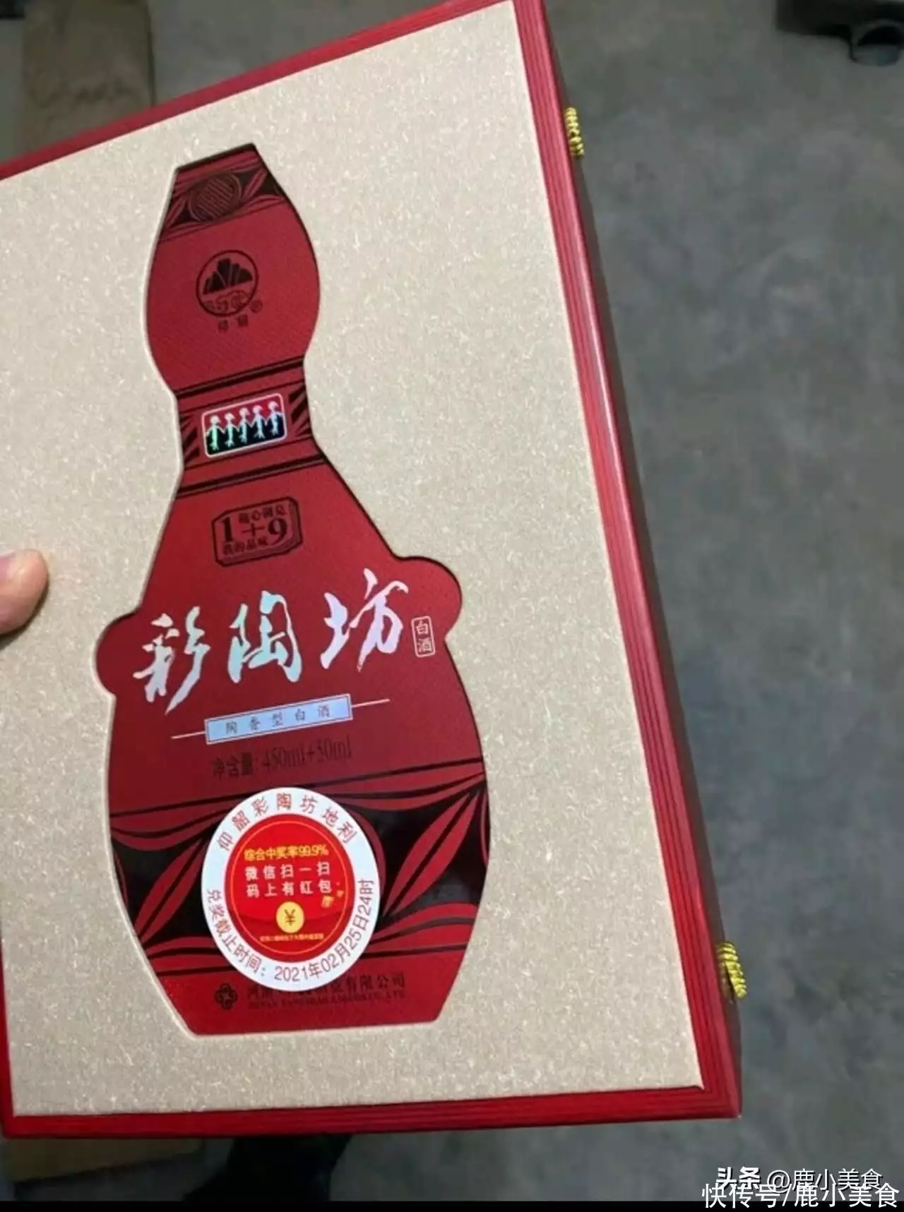 常青树有哪些（北方常青树有哪些品种） 第4张