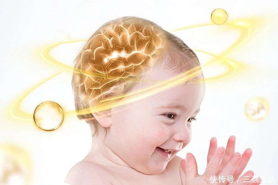 给儿童补脑增强记忆力食补_【快资讯】