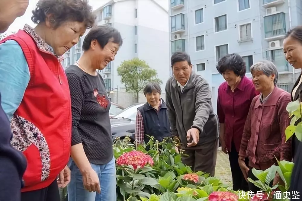 大锅饭怎么做（大锅饭怎么做二十个人的饭菜） 第16张