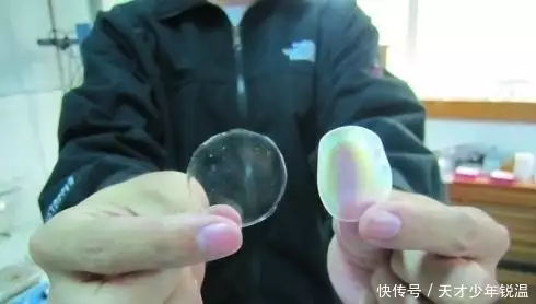 奇葩世间生物图片_世间奇葩生物_世界奇葩生物