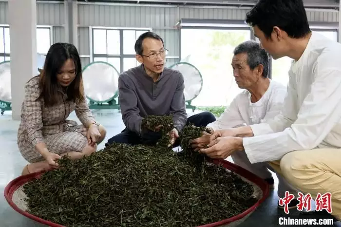 福建非遗歌舞（福建非遗文化 朱熹） 第5张