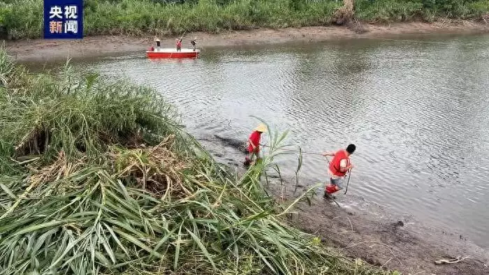 广东鳄鱼暴雨中出逃已抓回36条（河南暴雨鳄鱼咬人） 第3张