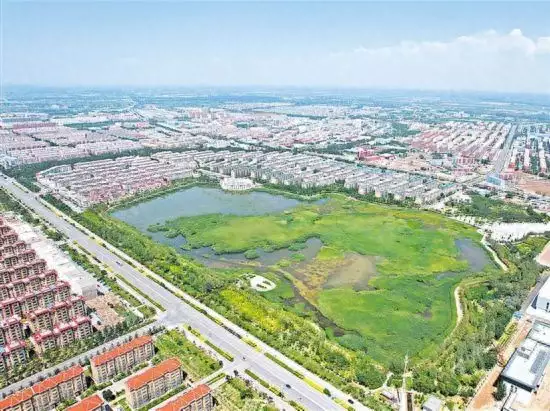 荒滩变湿地 矿渣“生”花海人类真的没有生殖隔离吗?黄种人与白种人能够生育的神秘秘密揭示!