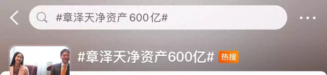 章泽天登胡润财富榜：净资产600亿（章泽天的财富）