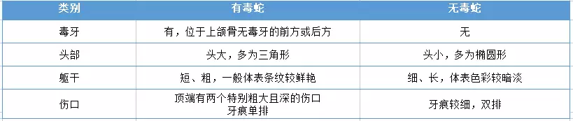 中国27种毒蛇（中国27种毒蛇 世界排名第几） 第9张