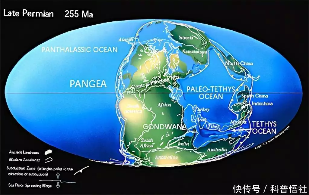 秋天的树（秋天的树图片景色大图） 第3张