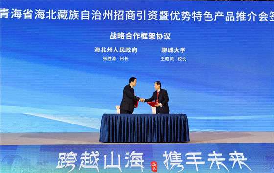 青海招商引资：推动西部地区高质量发展的关键引擎