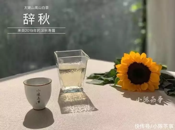 文章伪原创（老食客都习惯做的洗茶，竟然是谬论？那醒茶和润茶还有必要吗？黄晓明拒绝捐助农村男孩，一句话澄清让人迷惘，网友：太真实了！）竟然可以这样，