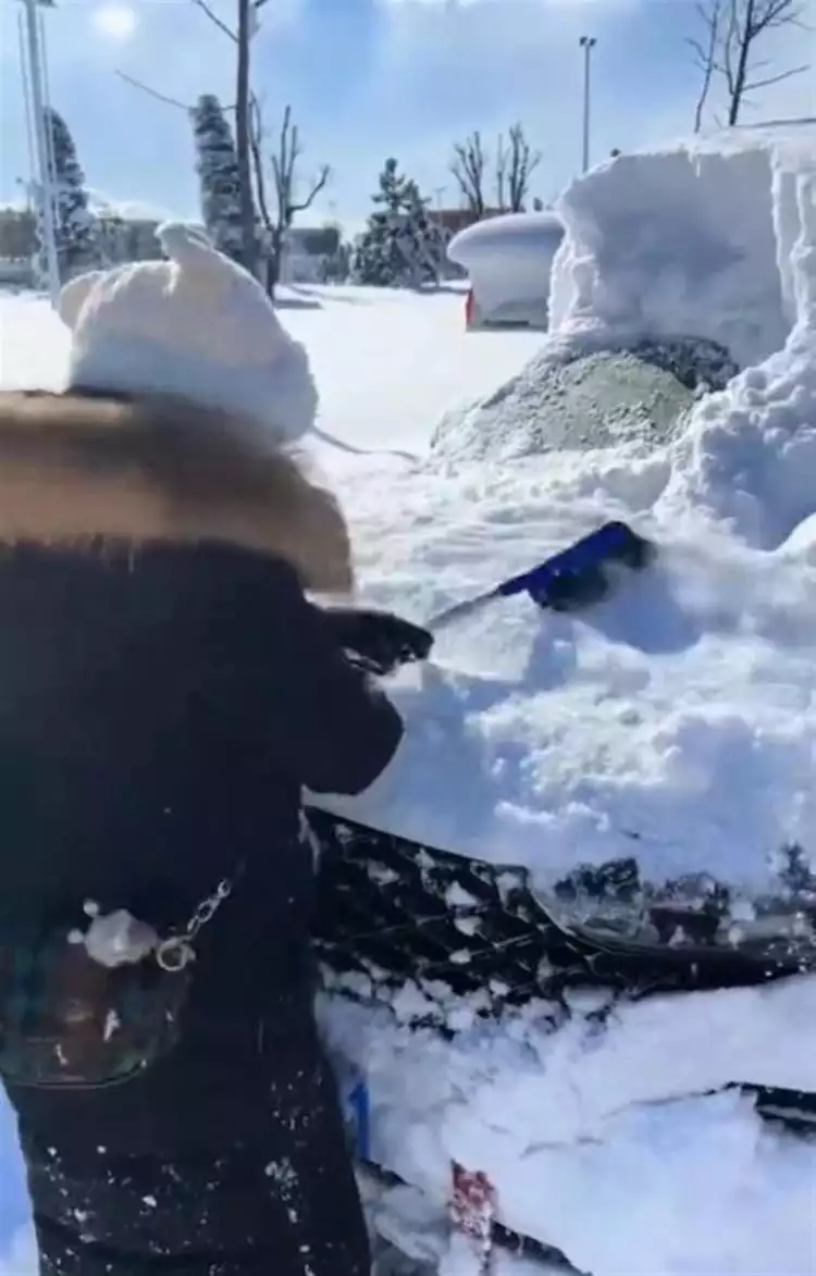 山东威海暴雪积雪厚度惊呆网友（威海暴雪历史记录） 第2张