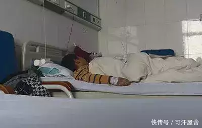 奶奶和男童遭恶犬扑咬 警方已立案（奶奶害孙女） 第2张