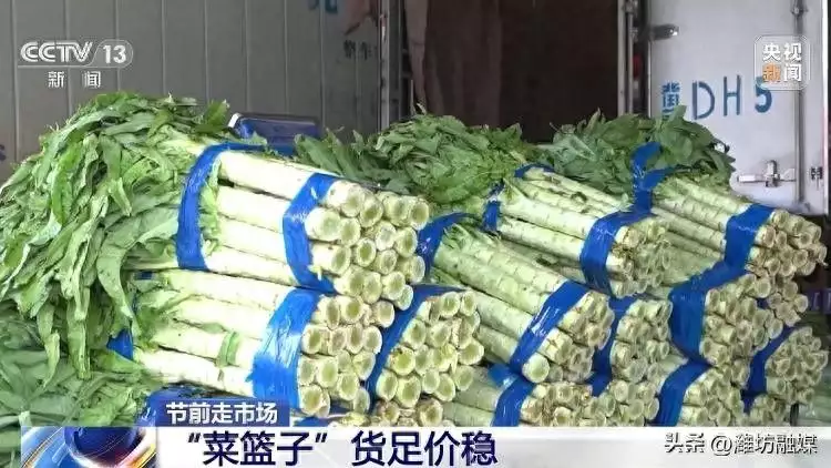 节前蔬菜、水果、肉蛋市场情况如何？跟随记者现场探访→山东21岁男子下肢被烧焦，为活命医生放10万蛆虫啃咬，后来怎样了