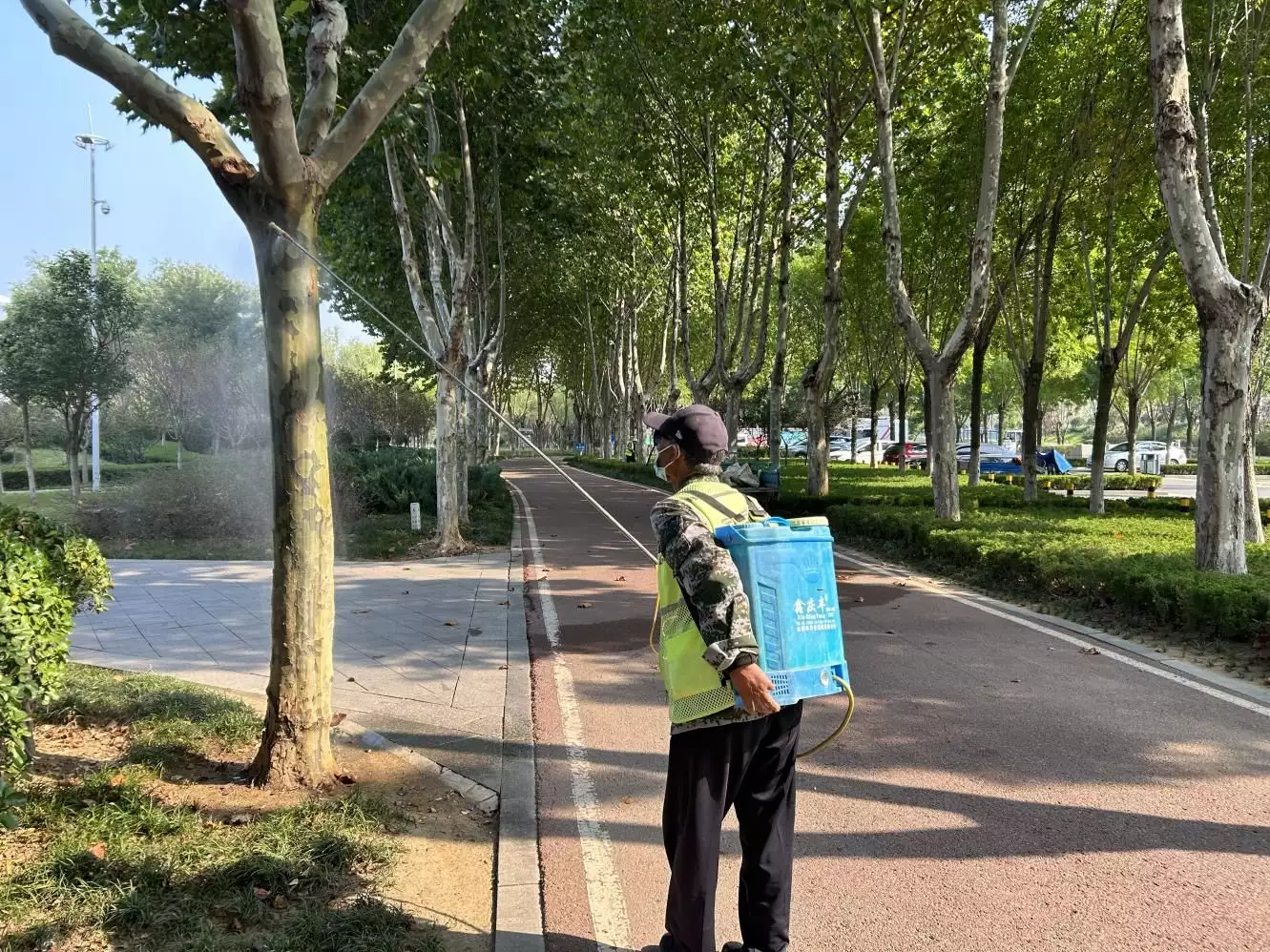 临沂市柳杭园林环卫管理办：紧抓秋季好时节，打好苗木保卫战