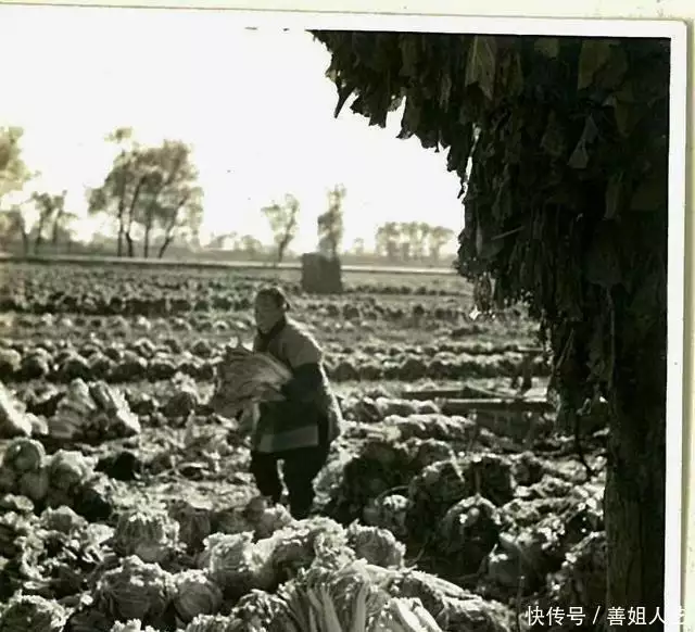 抵债的方式能有多离谱？看完网友的分享，我要笑死在评论区了播报文章