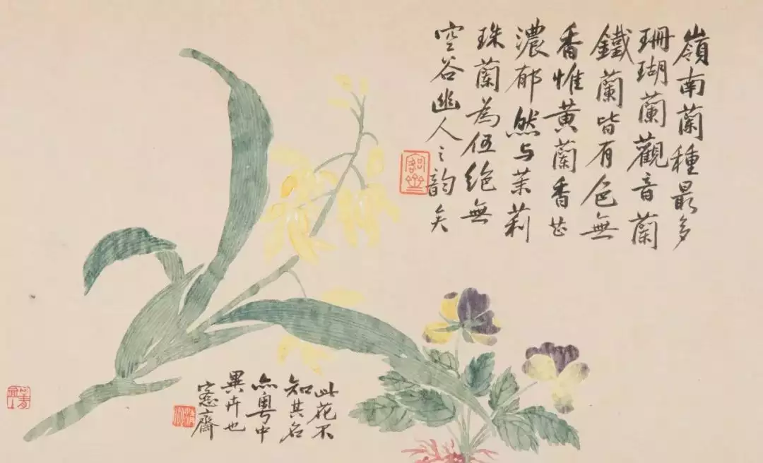 吴湖帆的爷爷，花卉画得如此好！亲爹给我起的名字，才上学3天就被同桌打了9回！女同学都躲着我