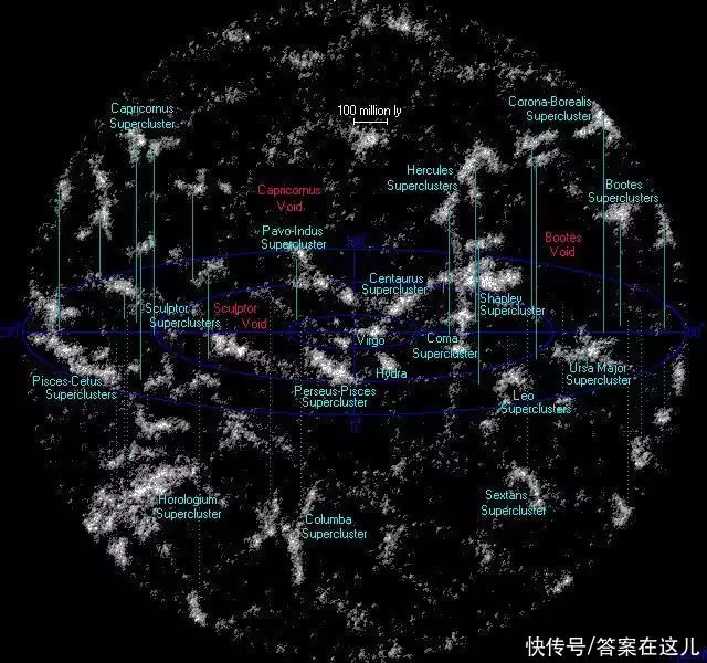 奇特的树（有哪些奇特的树和它们的特征相同） 第7张