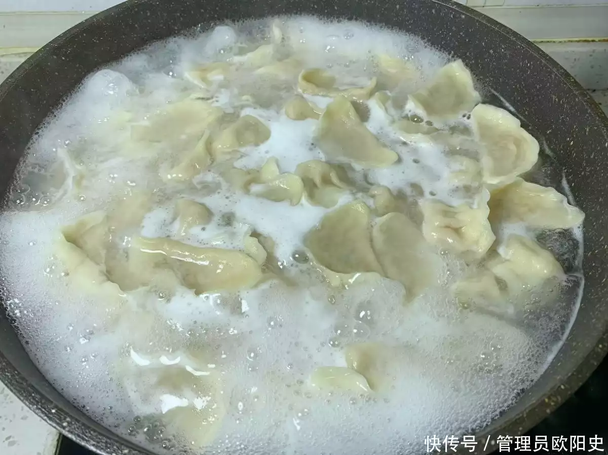 怎么煮饺子（怎样煮饺子不容易烂） 第5张