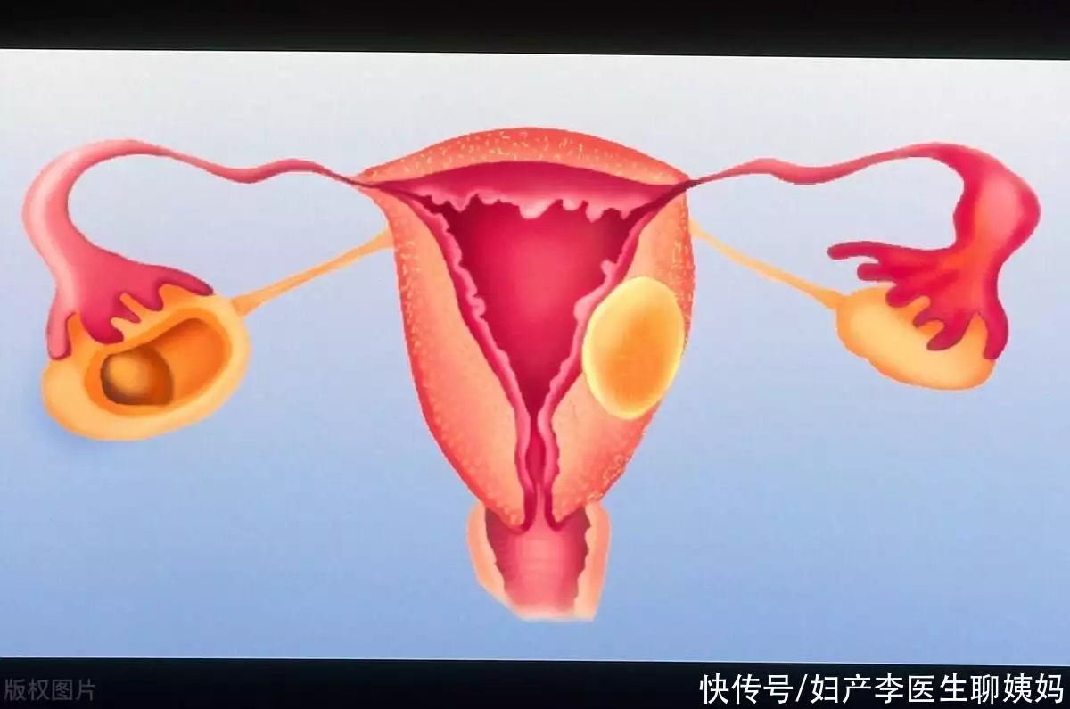 太疯狂了（我骗一个女人怀孕）骗对象怀孕了怎么收场 第6张