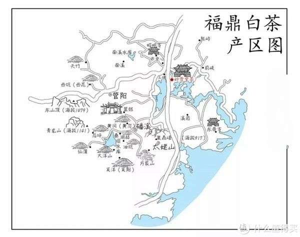 福鼎白茶产地