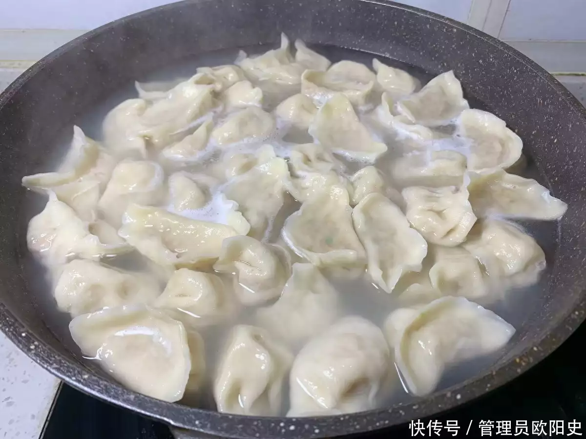 怎么煮饺子（怎样煮饺子不容易烂） 第6张