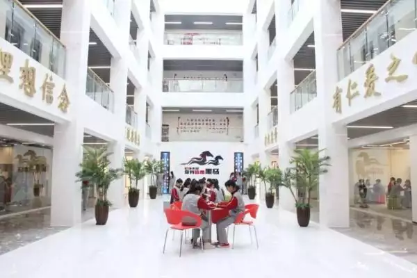 合肥理工学校连获三项省级荣誉外交部“五朵金花”之一,一生都没有结婚,毛主席曾劝她改个名字( 合肥理工学校连获三项省级荣誉外交部“五朵金花”之一,一生都没有结婚,毛主席曾劝她改个名字(