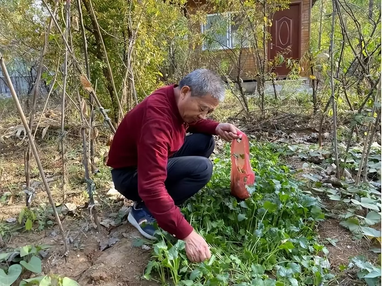 一篇读懂（骗对象怀孕）骗对方怀孕了构成犯罪吗 第6张