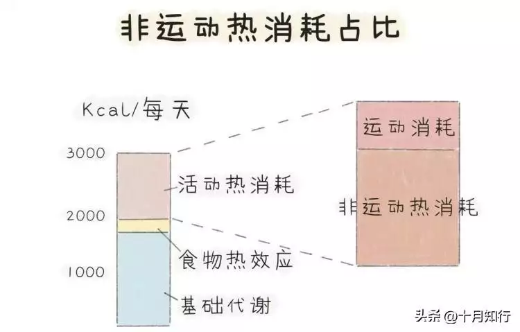 瘦身餐单（孕妇减脂餐） 第6张