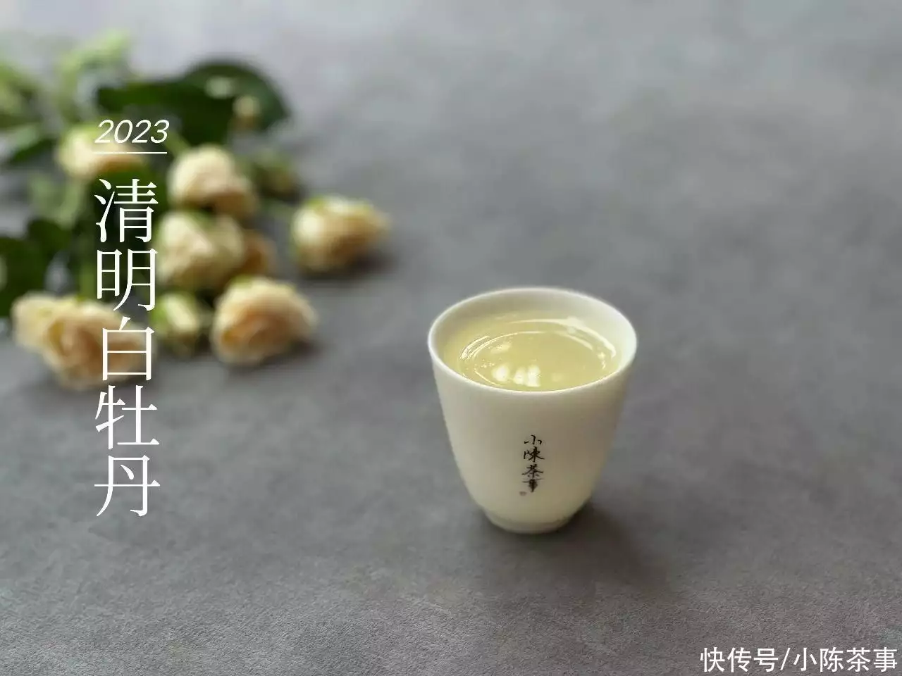 杏花春雨江南（杏花春雨江南全诗王维） 第10张