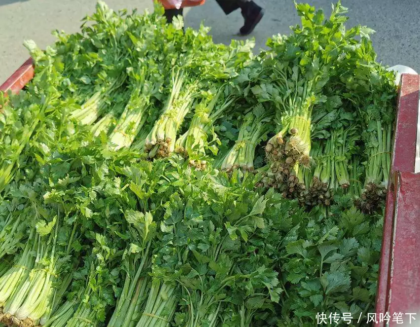 营生赵建平天本息！福建韩庄镇营生赵建平10万元，是戏码还是误解？1973年，一头神秘野兽进入部队捕食被枪杀，专家一看惊喜若狂(图7)