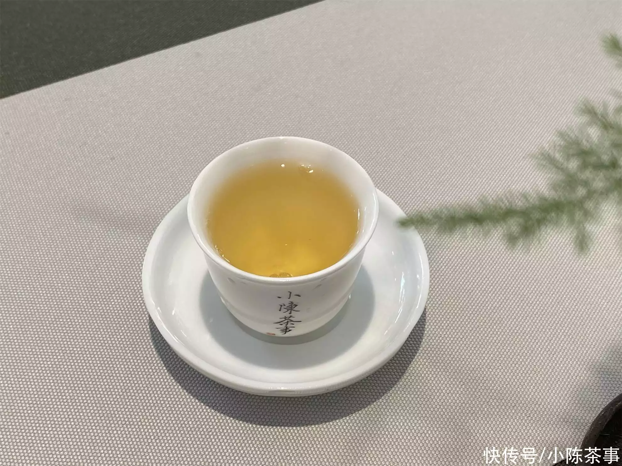 沒想到（紅茶綠茶白茶可以一起沖泡嗎）綠茶紅茶白茶普洱哪個好，綠茶、紅茶、白茶、普洱茶，六大茶類中哪些可以煮？哪些不可以？日本核輻射有多可怕？他看著自己的皮膚一點點脫落，成為一具活尸，商城網站，