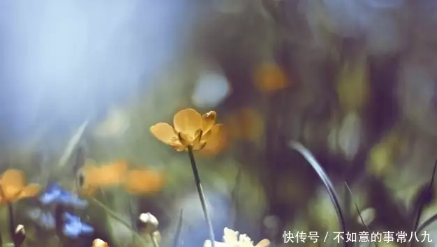 70后，老了就老了，顺其自然随遇而安