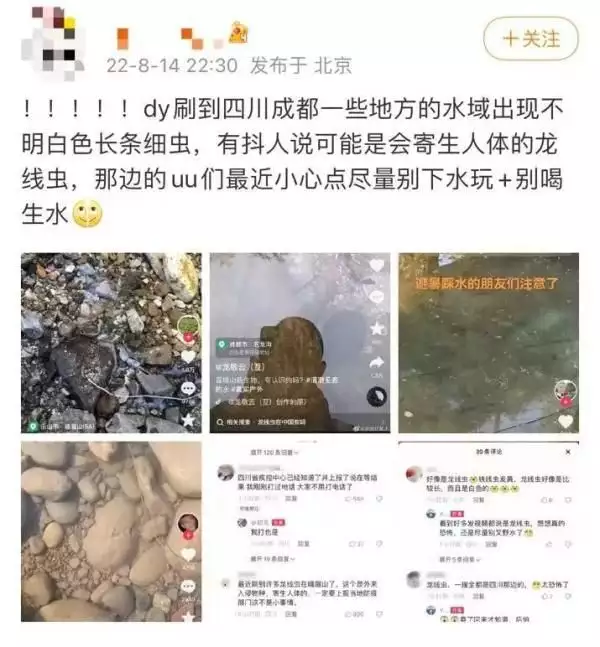 多地水域出现不明长条细虫，目击者：像面条一样！四川疾控回应为什么不能乱抠肚脐眼？原来肚脐眼连的根本不是肠子，长见识了