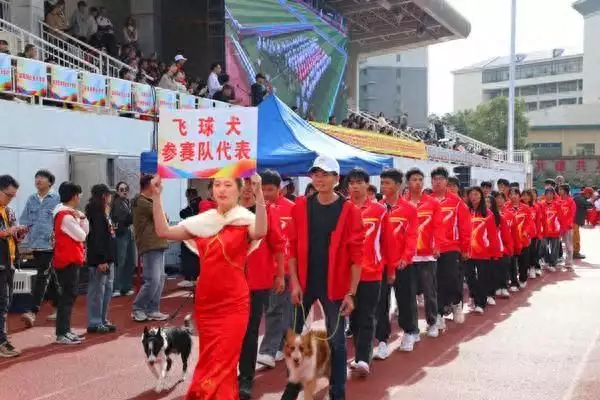 首届中国大学生宠物世界运动会在衡阳举行江西女子索要68万彩礼，婚后8年一直还债，得知父母没还礼后崩溃_训犬