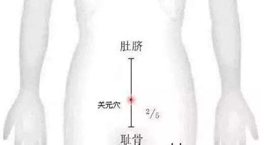 关元穴_【快资讯】