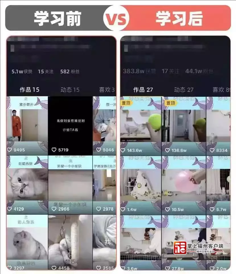 莆田疑犯抓获归案76人！黄圣依的混血儿女儿长大了，高帅富高到判罚，这才是真正的“娘娘”(图2)