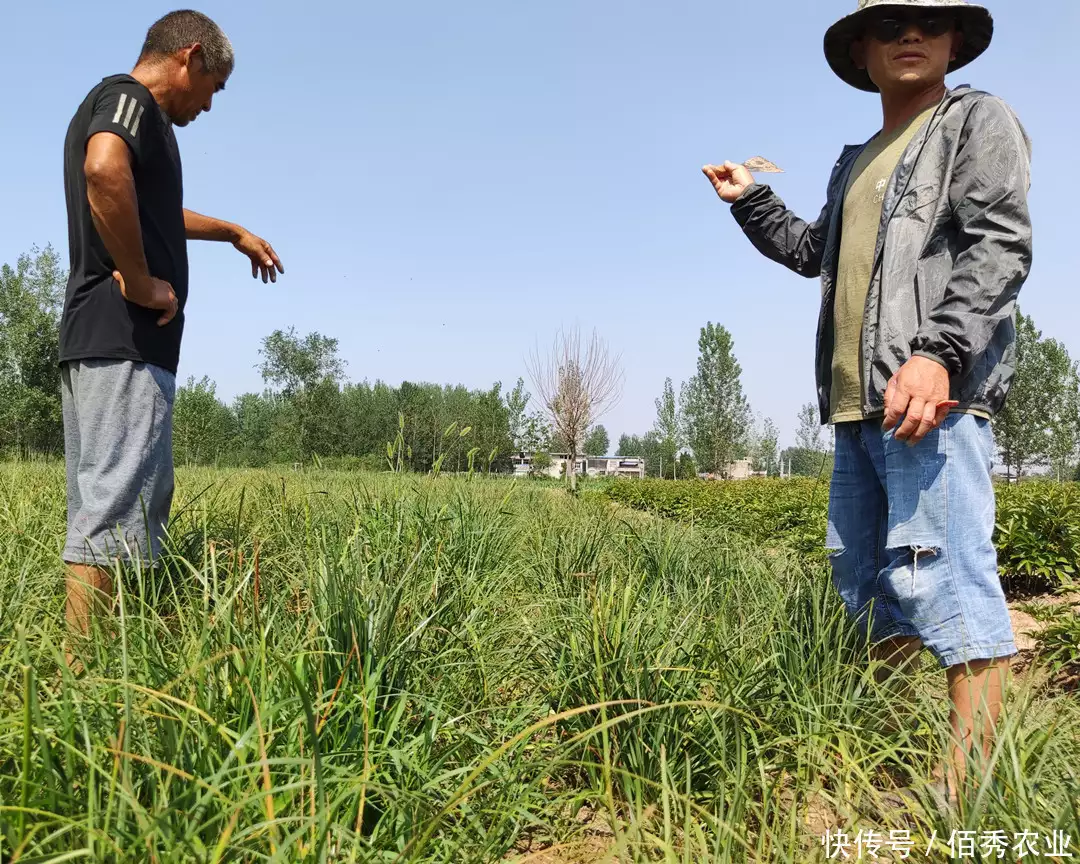 原创（会计学就业方向和前景）会计学就业去向和前景分析 第4张