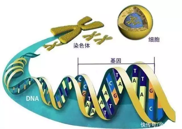 世界上最变态的人（世界上谁最变态?） 第8张