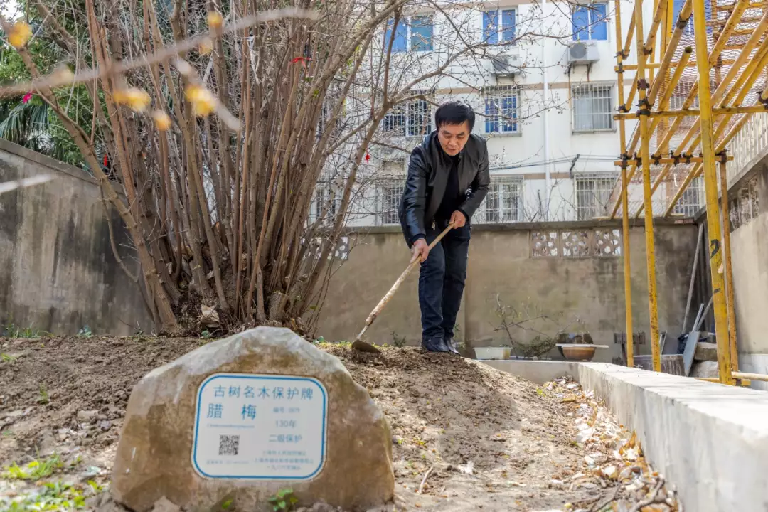 真没想到（项脊轩志原文）项脊轩志原文加翻译 第3张