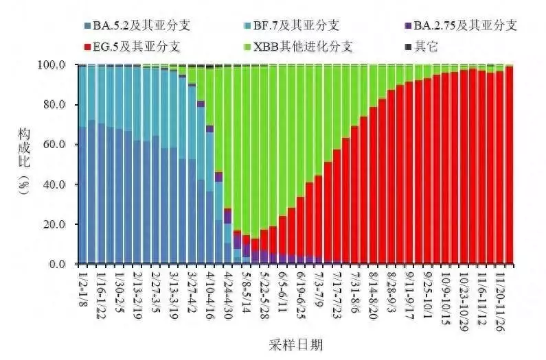 传入国内的JN.1变异株是什么来头？（b117变异毒株） 第1张