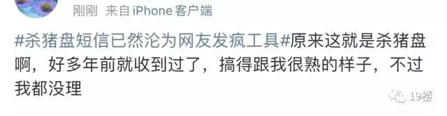 打不过就加入！“杀猪盘”短信沦为网友发疯工具？冲上热搜了……白鹿穿吊带裙纯欲感十足 绿色挑染长发个性吸睛 第15张