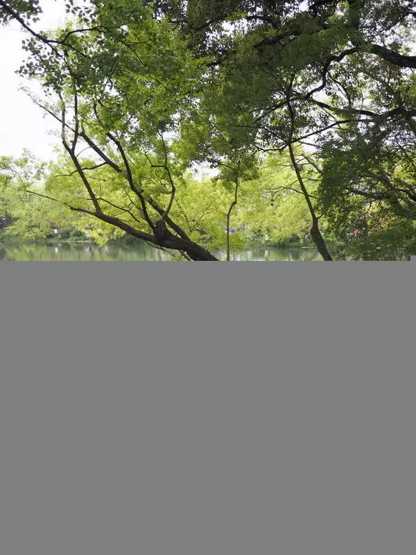 说走就走的一家三口杭州苏州六日游记（上：杭州篇）