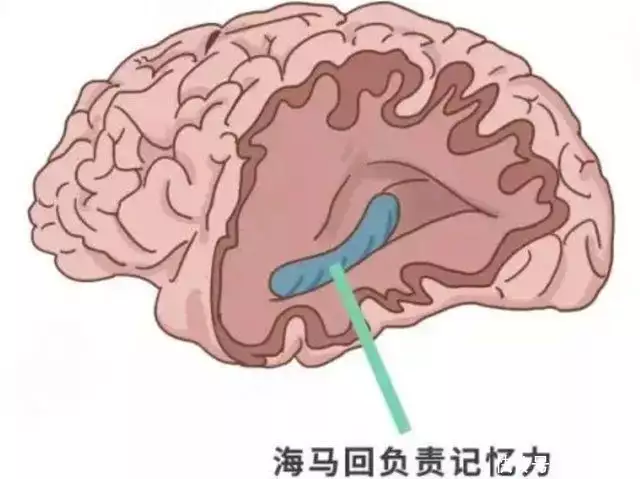 世界上最变态的人（世界上谁最变态?） 第11张