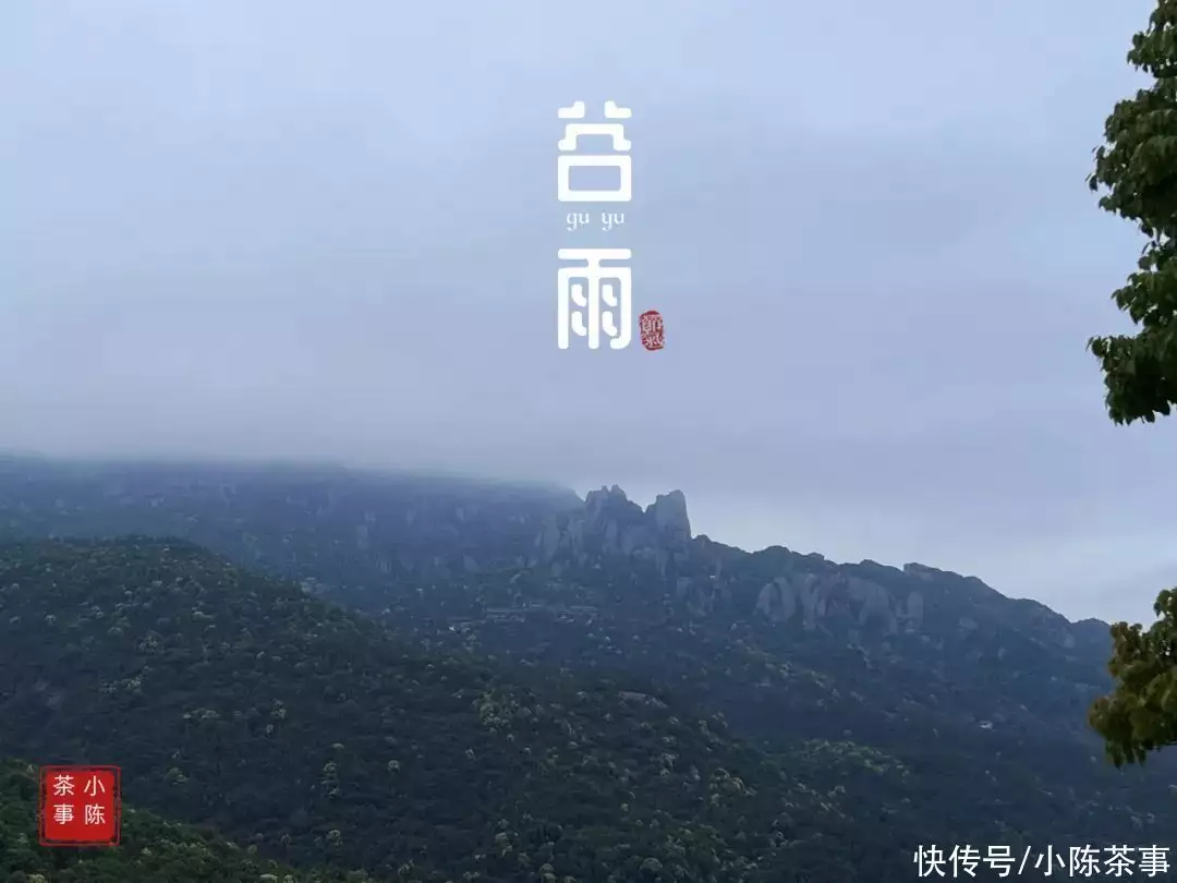 试管生子助孕机构（太姥山白茶是什么茶）太姥山牌白茶有名吗，