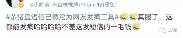 打不过就加入！“杀猪盘”短信沦为网友发疯工具？冲上热搜了……白鹿穿吊带裙纯欲感十足 绿色挑染长发个性吸睛 第13张