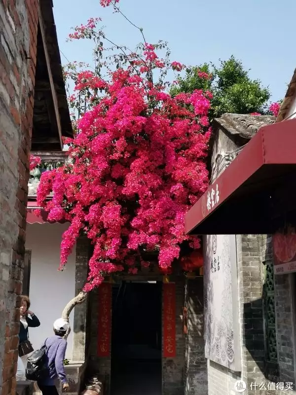 怎么可以错过(顺德德云居古村)顺德德云居私房菜地址2023已更新 第5张