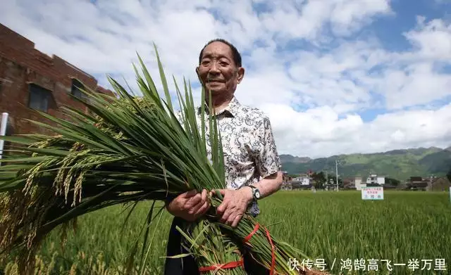 淮阴侯列传原文（史记淮阴侯列传翻译及阅读题答案） 第35张