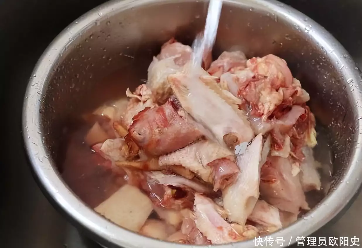 家常炖鸡肉的简单方法（炖鸡肉的做法大全家常菜视频教程全集） 第2张