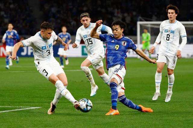 拳聚黔中 砺剑备战 2World Cup Betting Guide 2026 - Best Odds, Tips & Live Football Betting026年世界拳联世界杯中国站赛前国际拳击训练营开营