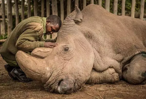 世间罕有生物_世界罕见物种_世界罕见生物