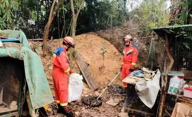 巨蟒（巨蟒峰打钉事件结果） 第3张