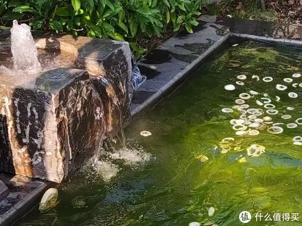 鲜花村网站（电视剧鲜花盛开的村庄） 第13张